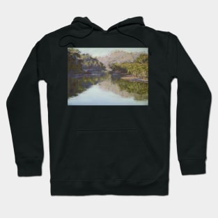 Lyrebird Track reflections Hoodie